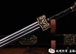 莎拉波娃总积分吗后续来了(莎拉波娃几个1000赛冠军)